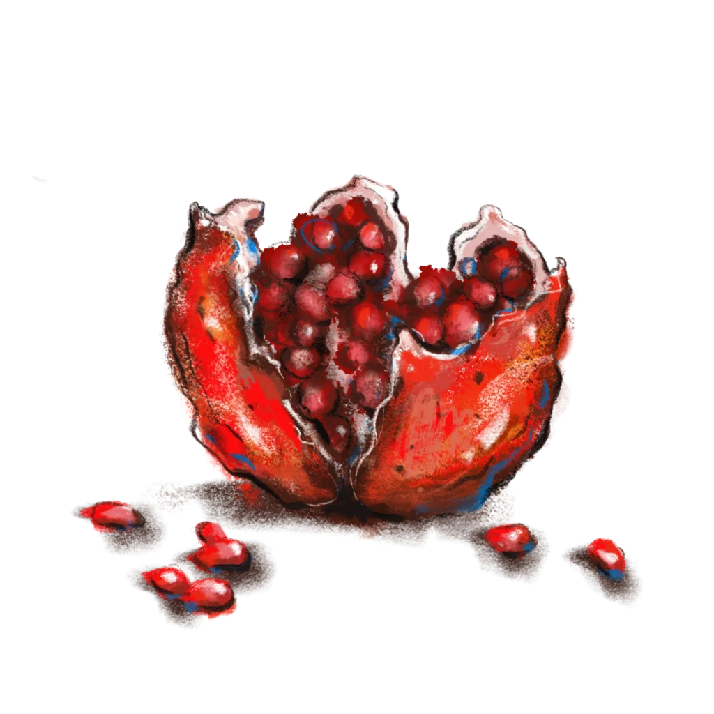 illustration GRENADE FRUIT