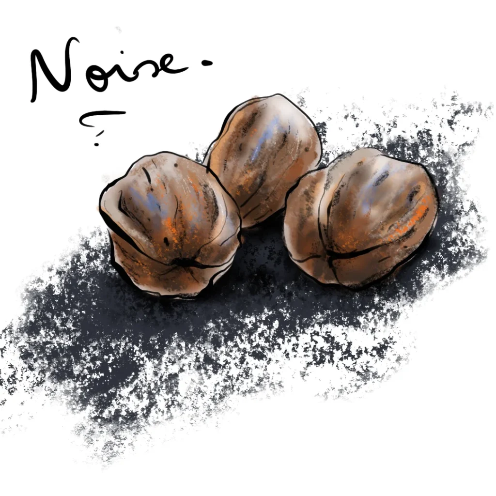 noix, dessin